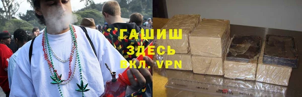 ПСИЛОЦИБИНОВЫЕ ГРИБЫ Баксан