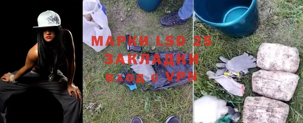 ПСИЛОЦИБИНОВЫЕ ГРИБЫ Баксан