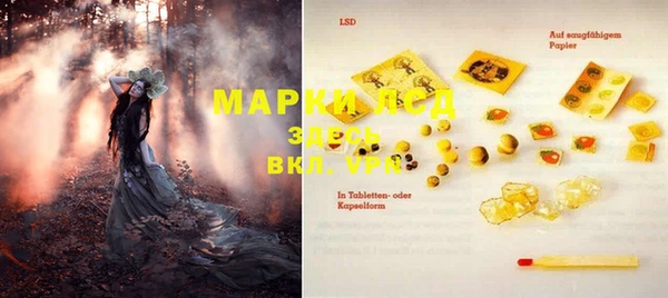 ПСИЛОЦИБИНОВЫЕ ГРИБЫ Баксан