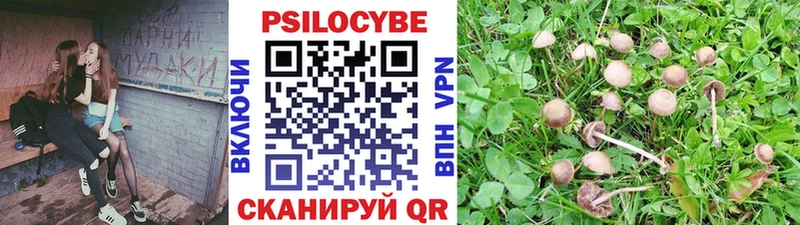 сайты даркнета Telegram  Заинск  Псилоцибиновые грибы Psilocybe 